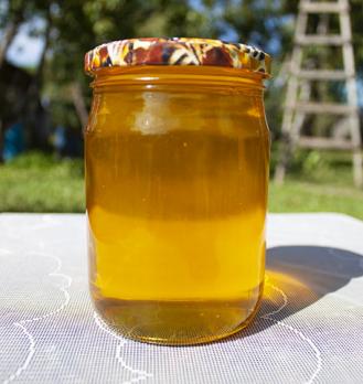Мёд свежий 0,5 литра