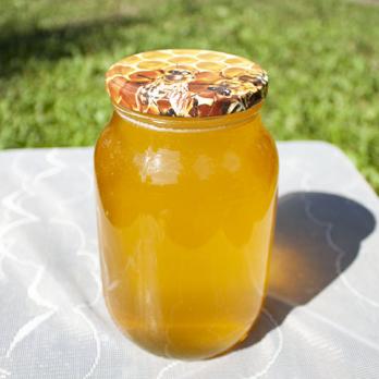 Мёд свежий 1 литр